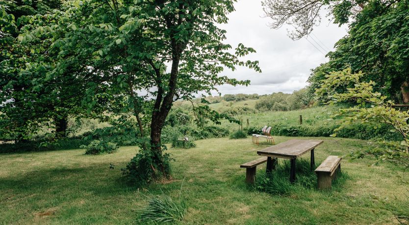 Photo of A Wilder Place