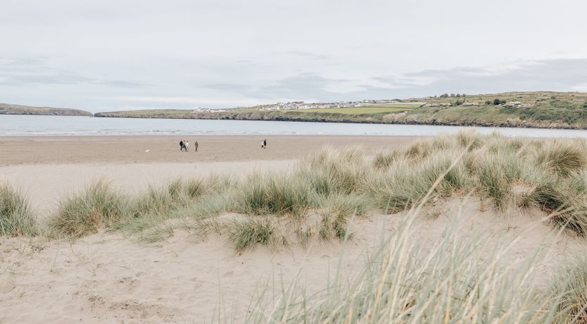 Photo of A Wilder Place