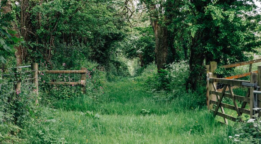 Photo of A Wilder Place