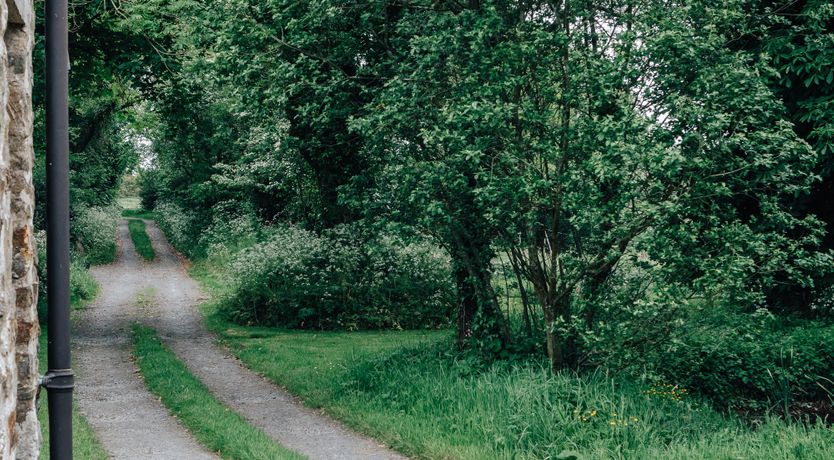 Photo of A Wilder Place