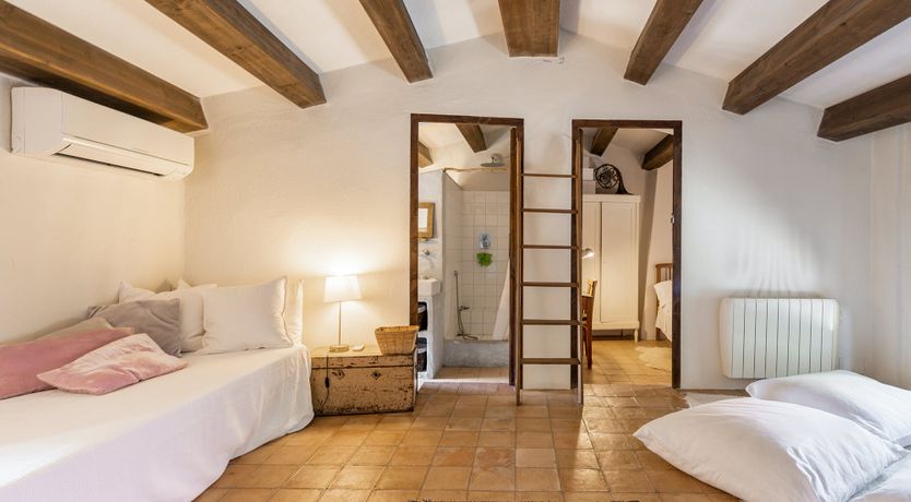 Photo of Green Sunsets