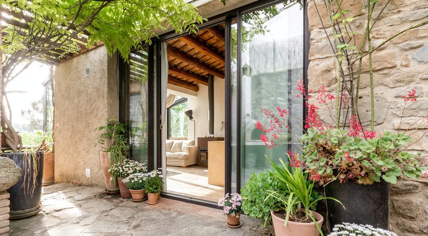 Photo of Green Sunsets