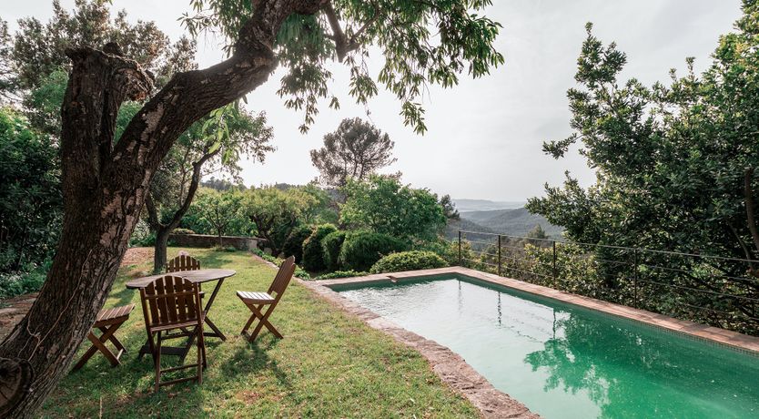 Photo of Green Sunsets