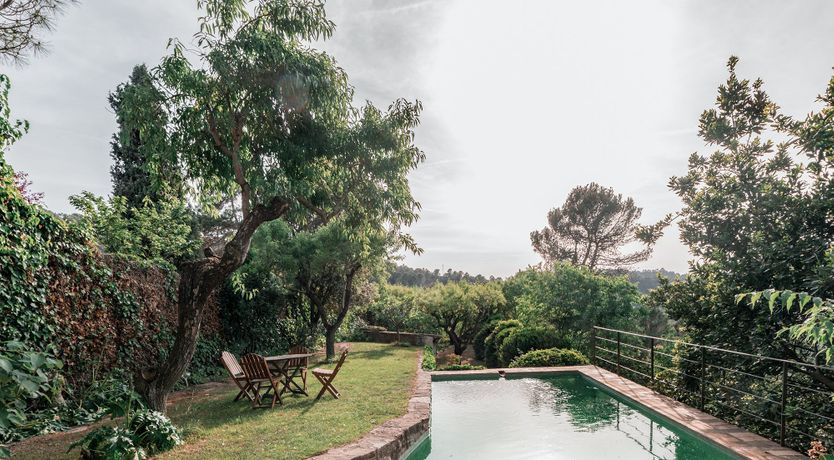 Photo of Green Sunsets