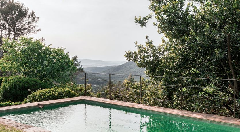 Photo of Green Sunsets