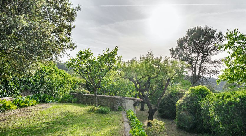 Photo of Green Sunsets