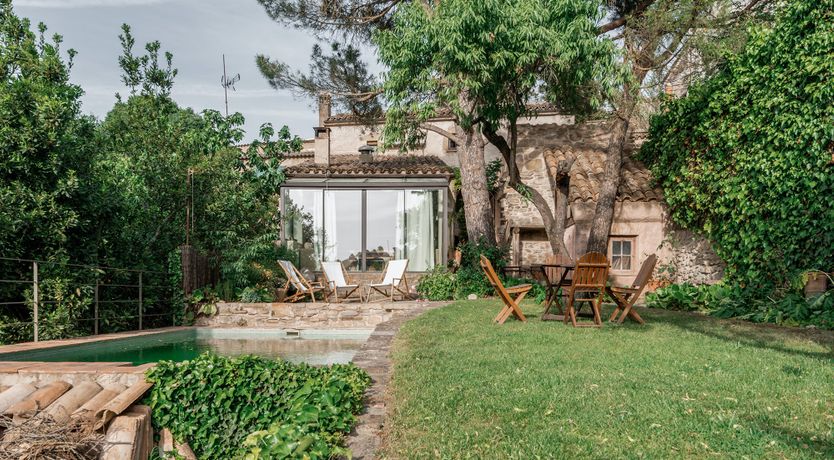 Photo of Green Sunsets