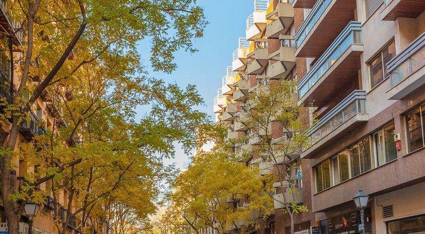 Photo of Salamanca Swish