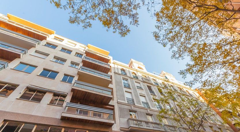 Photo of Salamanca Swish