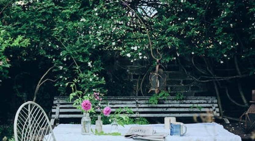 Photo of Vintage & Art