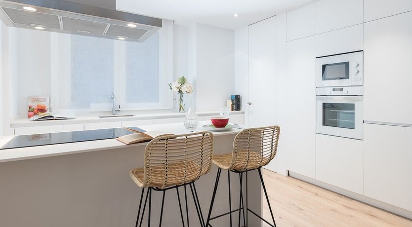 Photo of Tulip Petal