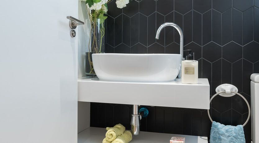 Photo of Tulip Petal