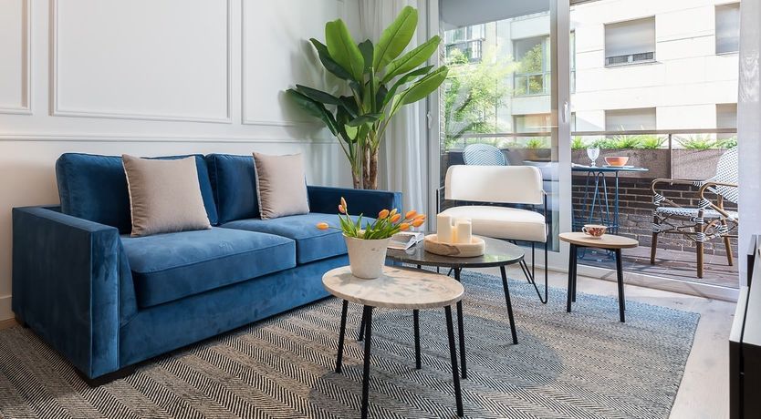 Photo of Tulip Petal