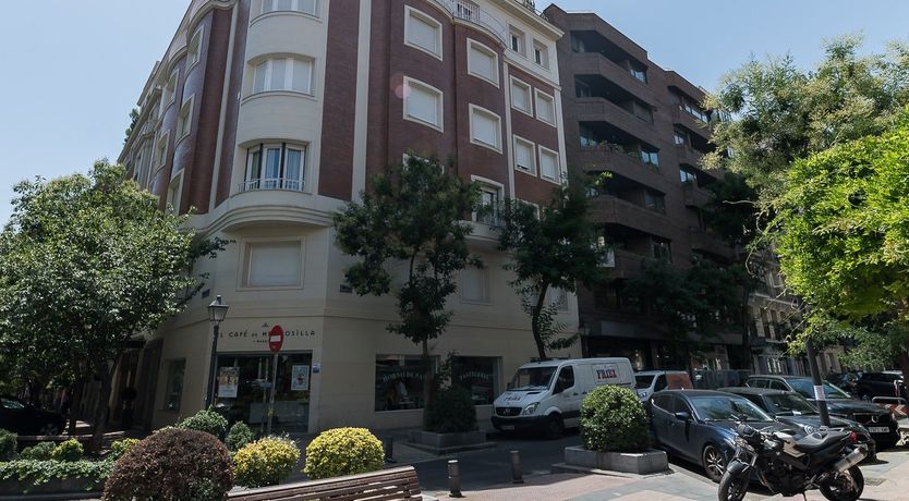 Photo of Tulip Petal