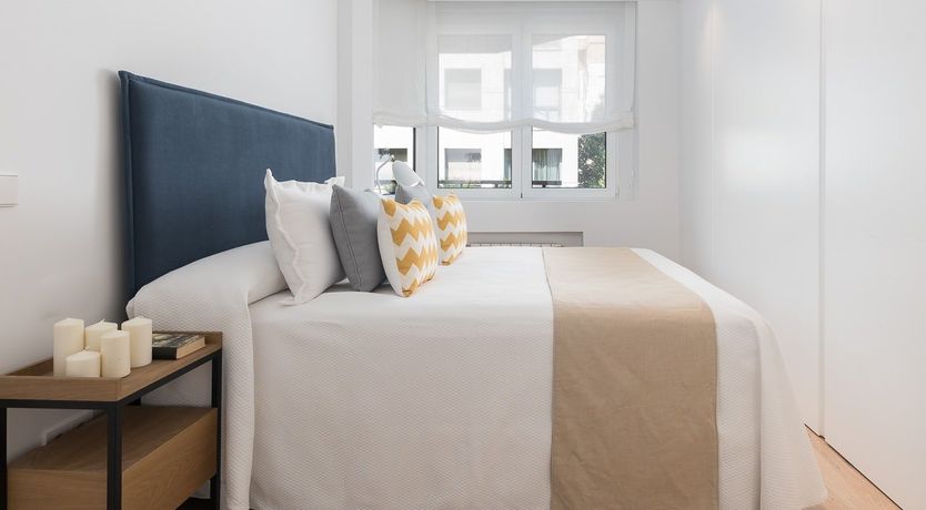 Photo of Tulip Petal