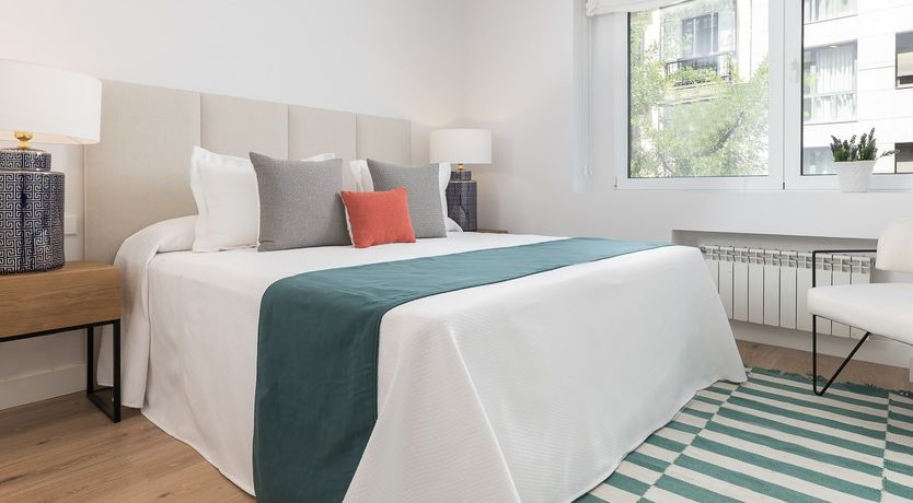 Photo of Tulip Petal