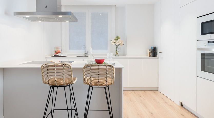 Photo of Tulip Petal