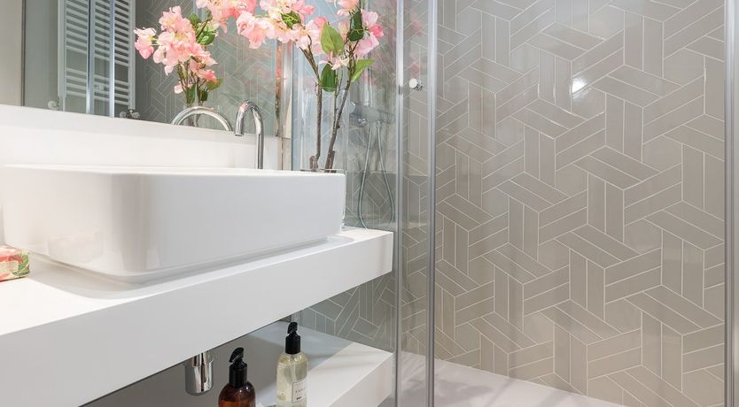 Photo of Tulip Petal