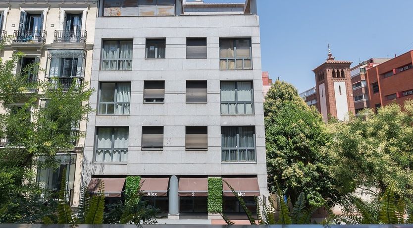 Photo of Tulip Petal