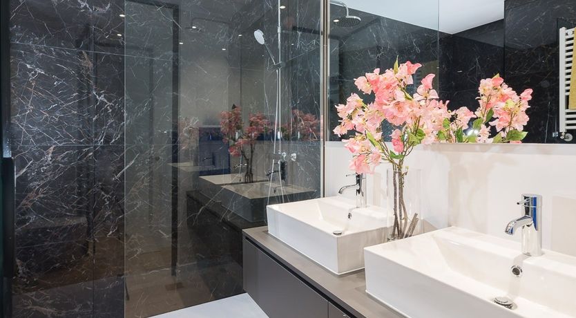 Photo of Tulip Petal