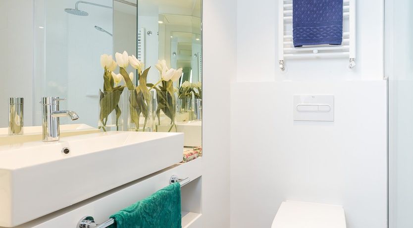 Photo of Tulip Petal