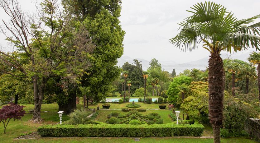 Photo of The Sofia Rose