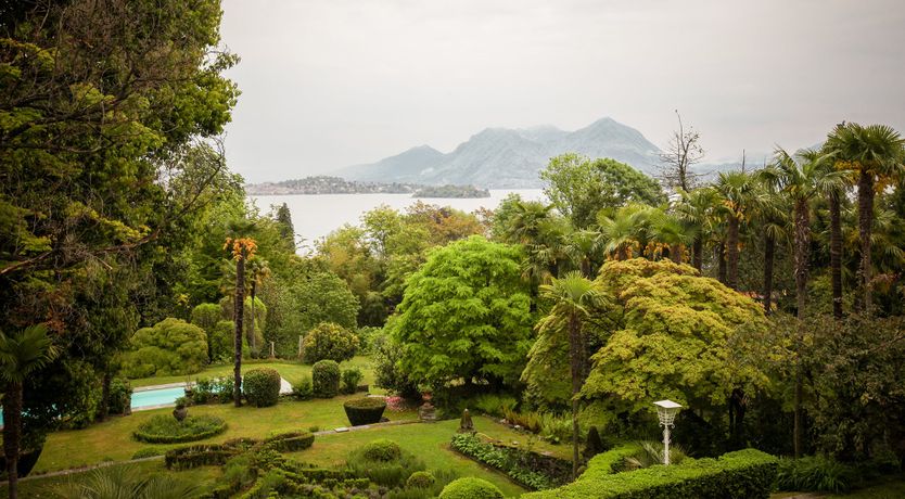 Photo of The Sofia Rose