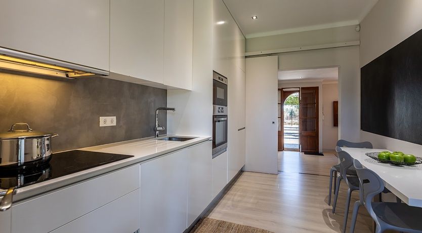 Photo of The Almond Tree