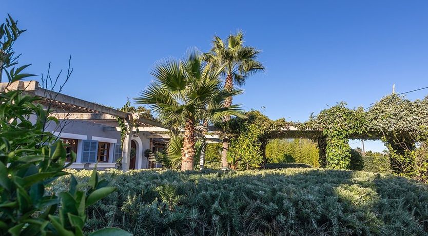 Photo of The Almond Tree