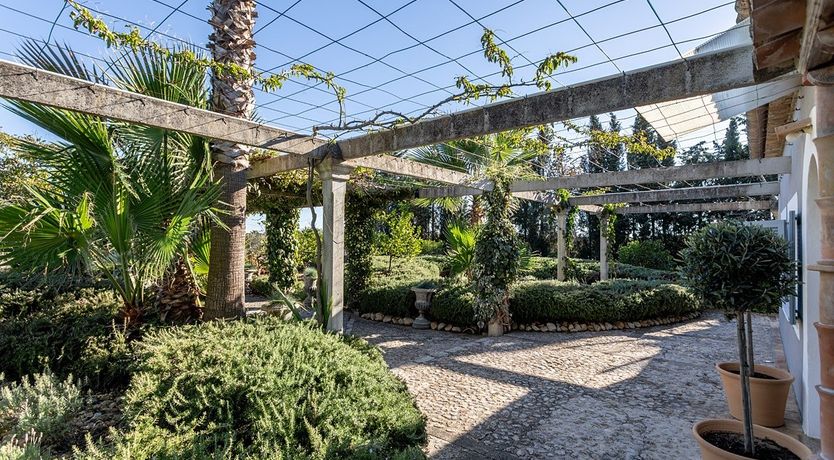 Photo of The Almond Tree