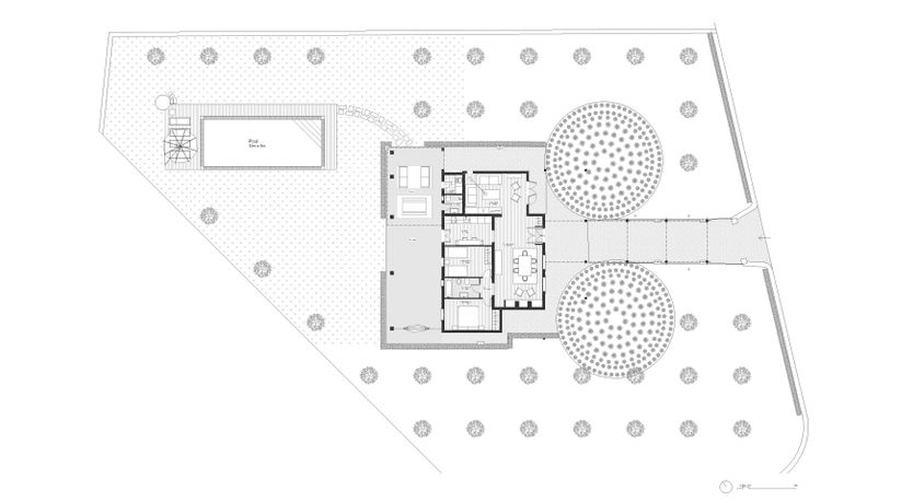 Photo of The Almond Tree