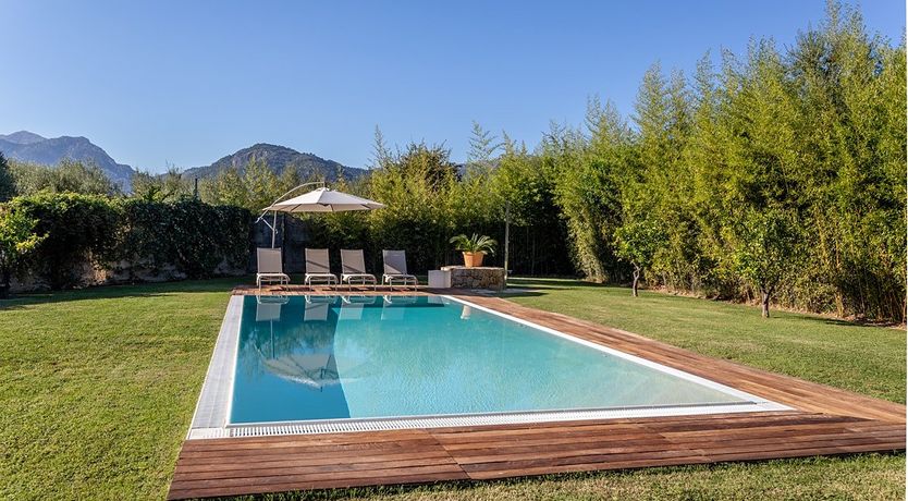 Photo of The Almond Tree