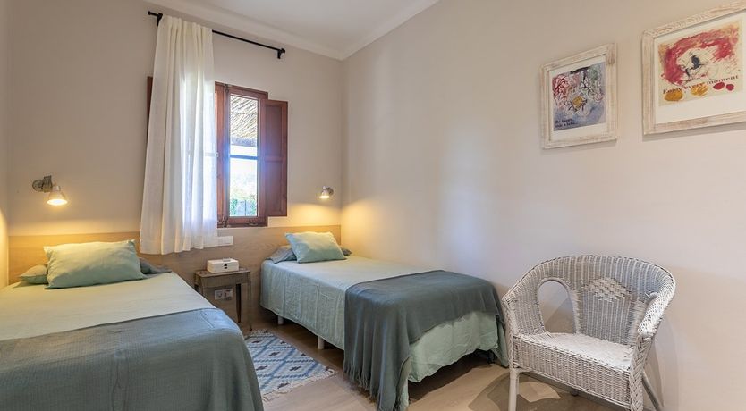 Photo of The Almond Tree