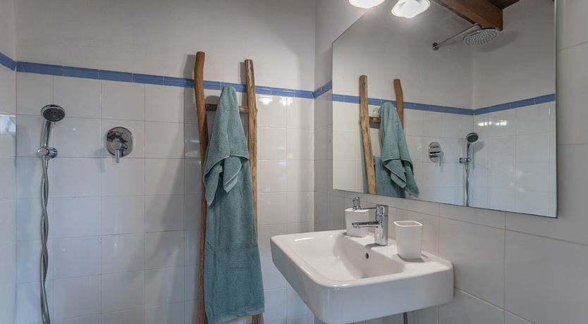 Photo of The Almond Tree