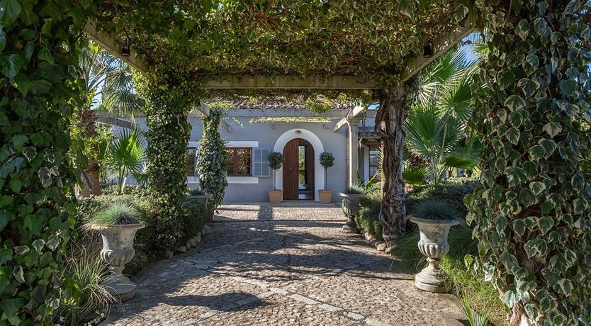 Photo of The Almond Tree