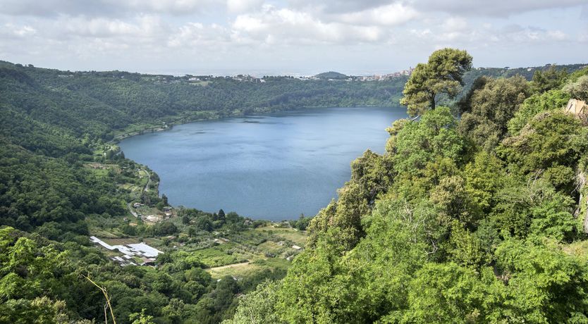 Photo of Wild Strawberries