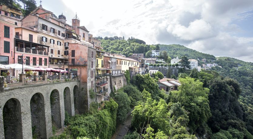 Photo of Wild Strawberries