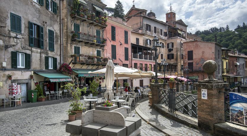 Photo of Wild Strawberries