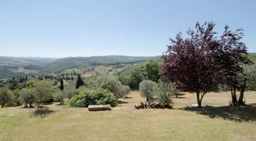 Photo of The Stuff of Dreams