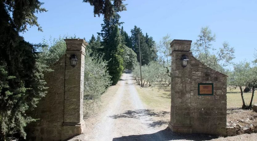 Photo of The Stuff of Dreams