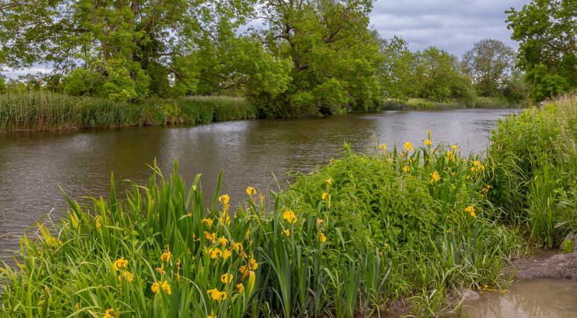 Photo of Lifting You