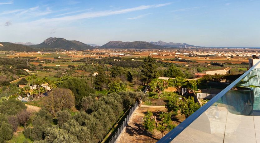 Photo of The Tree of Life