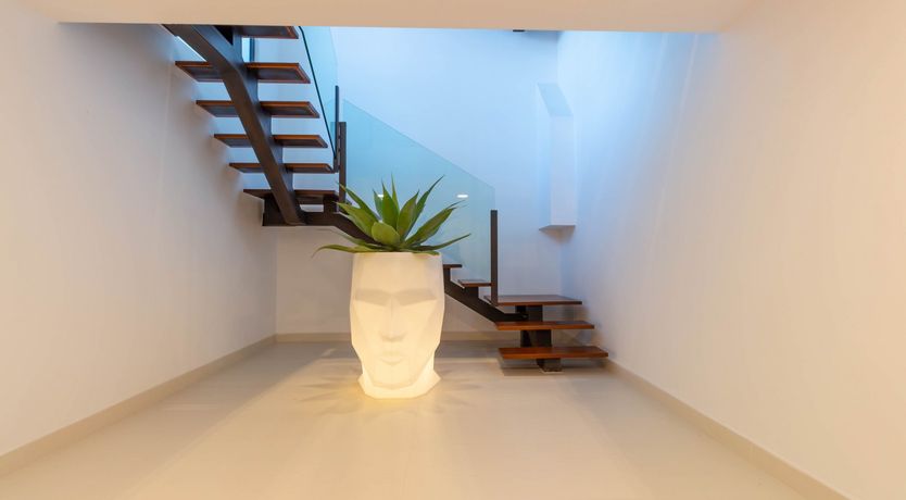 Photo of The Tree of Life