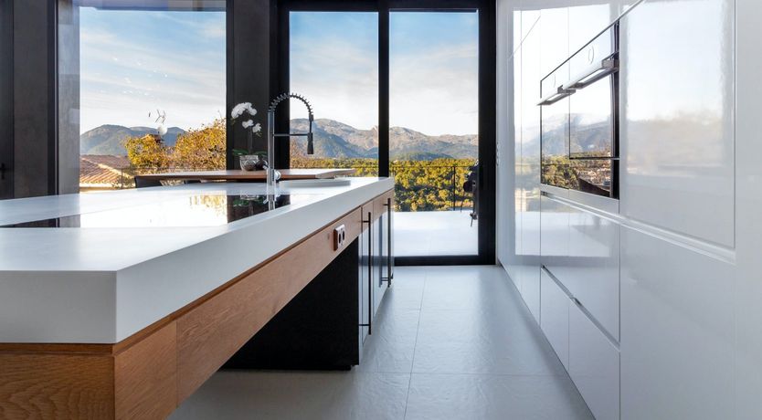 Photo of The Tree of Life