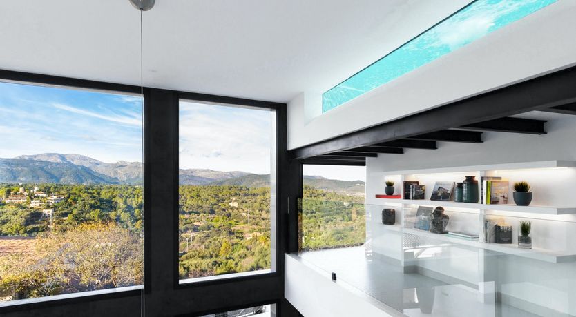 Photo of The Tree of Life