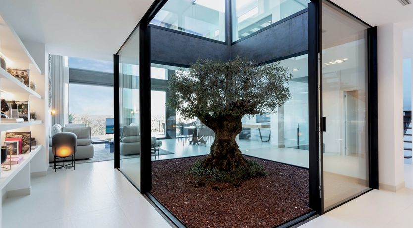 Photo of The Tree of Life