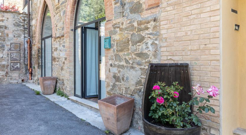 Photo of Artistic Grapes