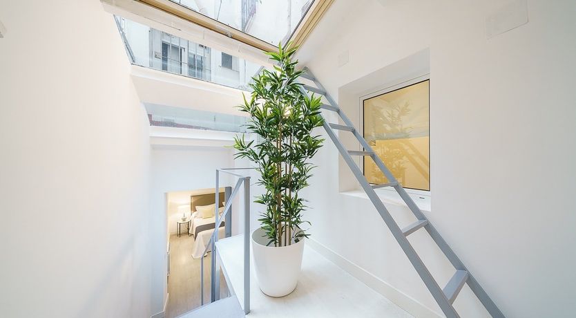 Photo of The Savannah Rose