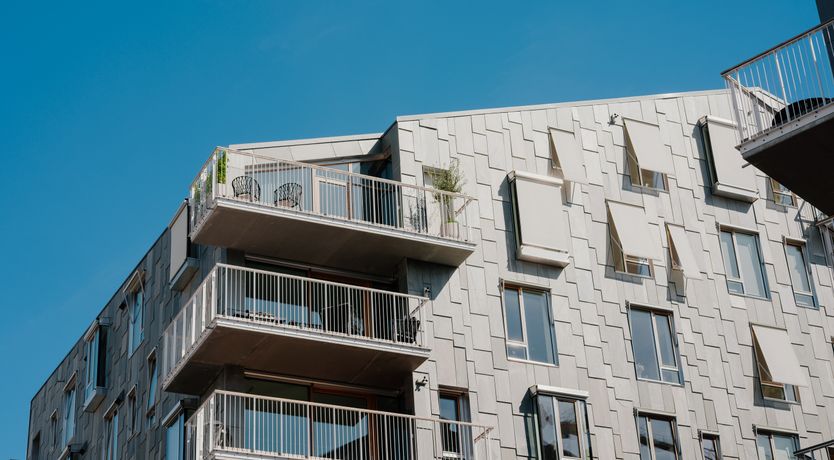 Photo of The Dance of Life