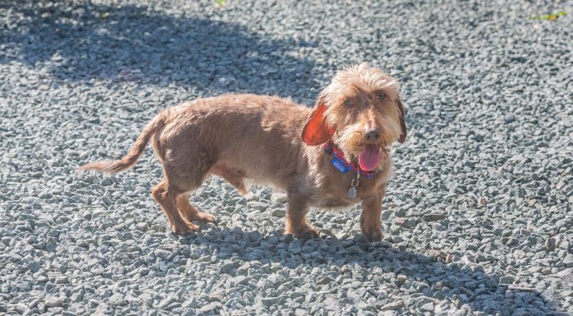 Photo of 1 Bed in Llwyngwril